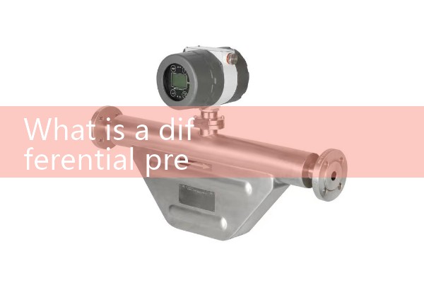 Flow meter